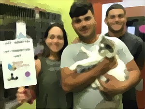 Cat adoption artwork