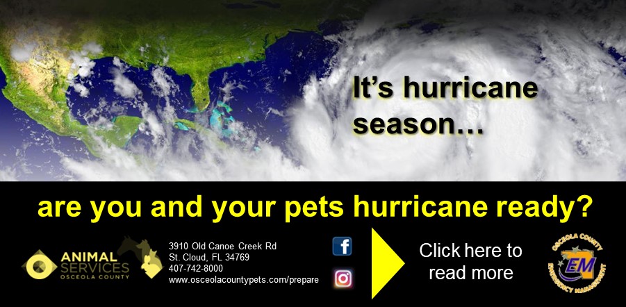 Hurricane season ready slider and link