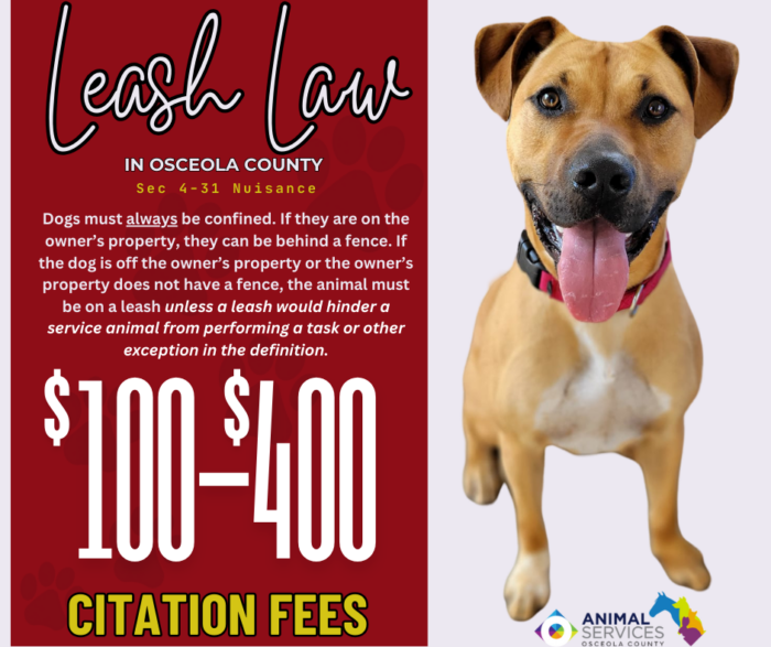 Leash law Pet of the Month poster