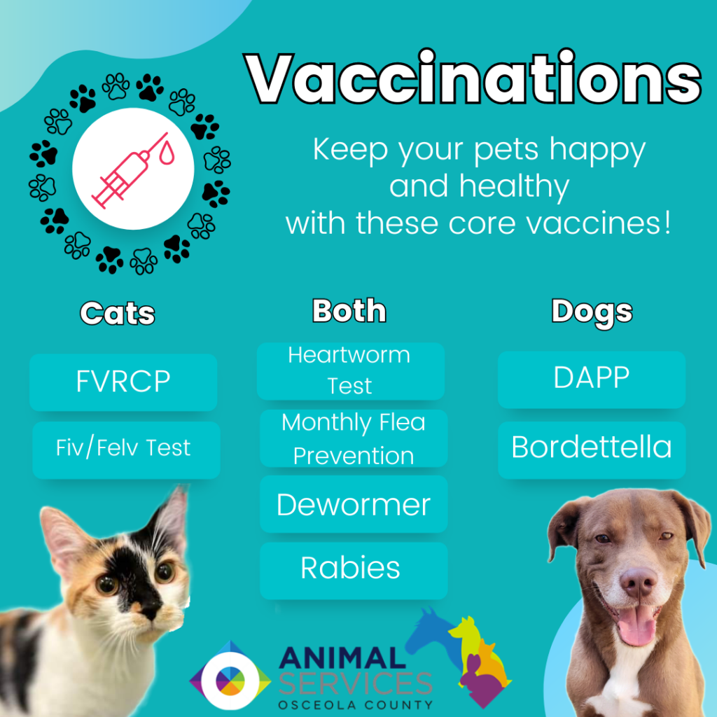 Vaccinations poster