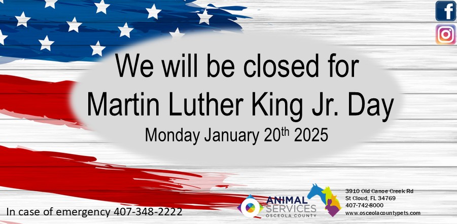 ML King Day closed slider