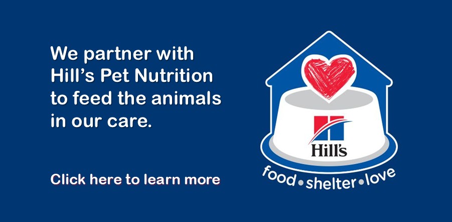 Hill's Pet Food slider and link food-shelter-love