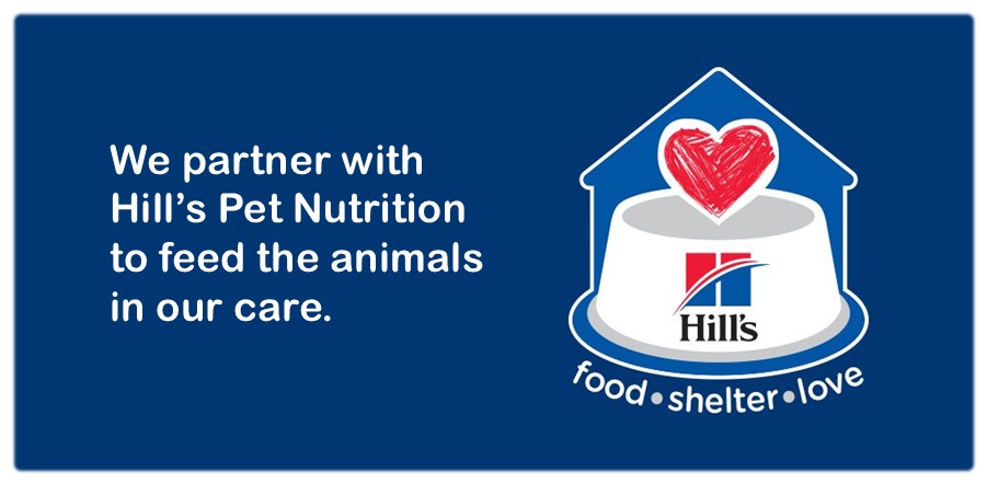 We partner with Hill’s Pet Nutrition to feed the animals in our careHill's logo: food sheletr love AP pages