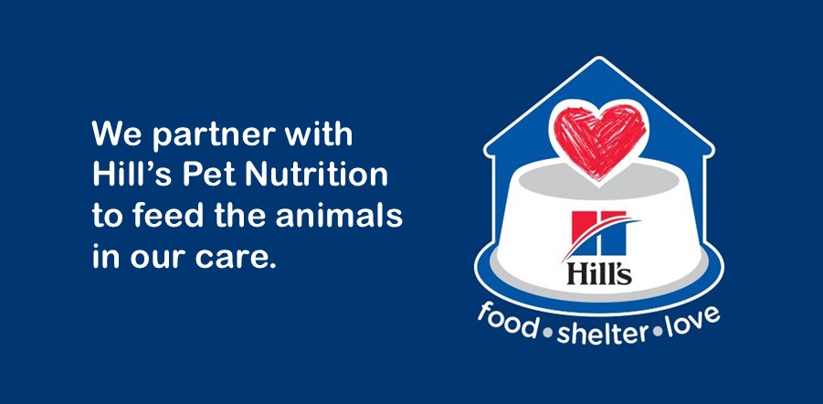 We partner with Hill’s Pet Nutrition to feed the animals in our careHill's logo: food sheletr love home